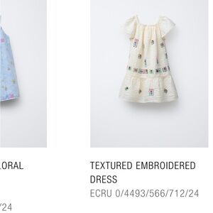 Zara Cream Textured Kids Dress with Colorful Embroidery
